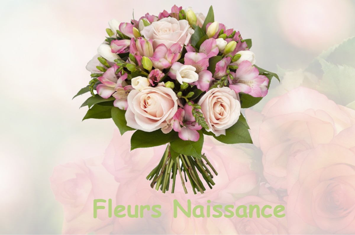 fleurs naissance SERMAISES