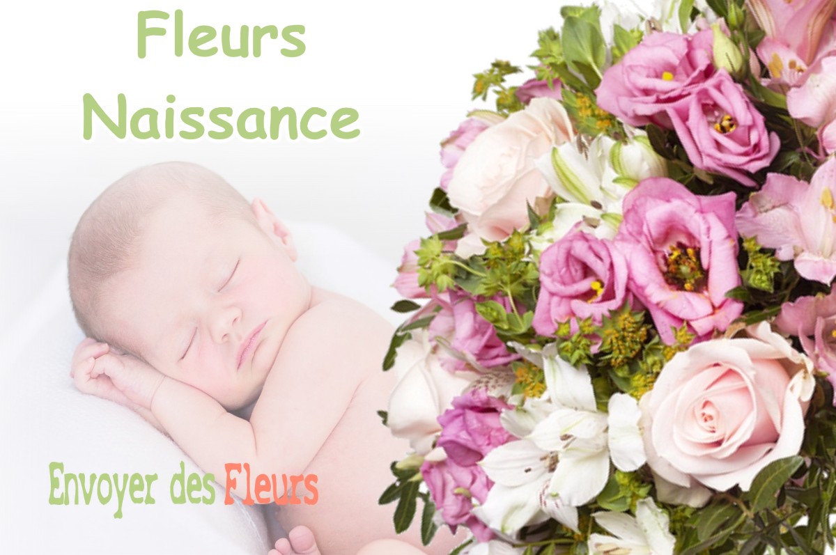 lIVRAISON FLEURS NAISSANCE à SERMAISES